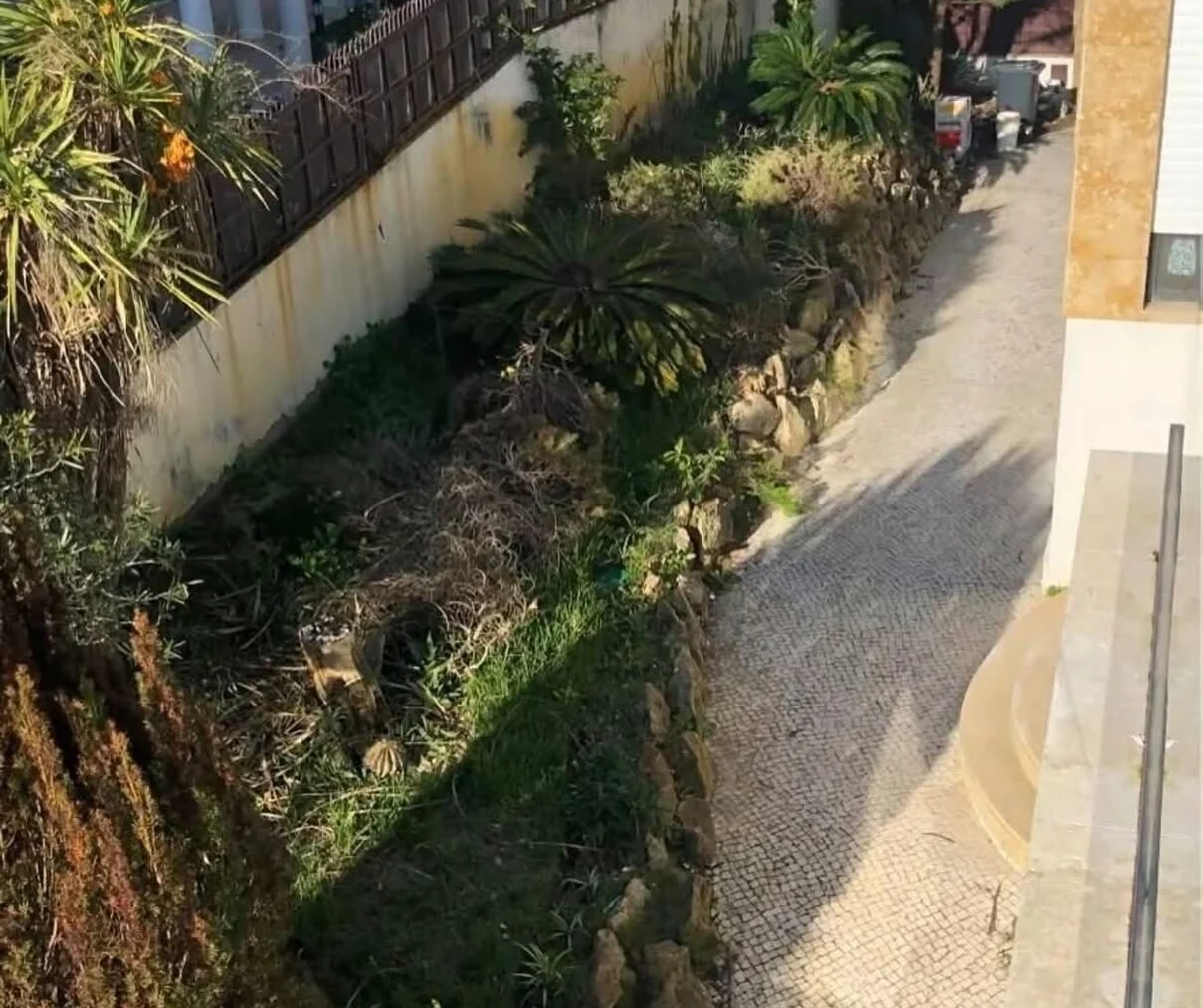 Antes da intervenção