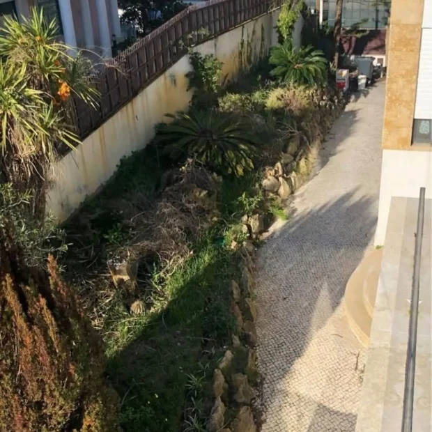 Antes — terreno antes da intervenção