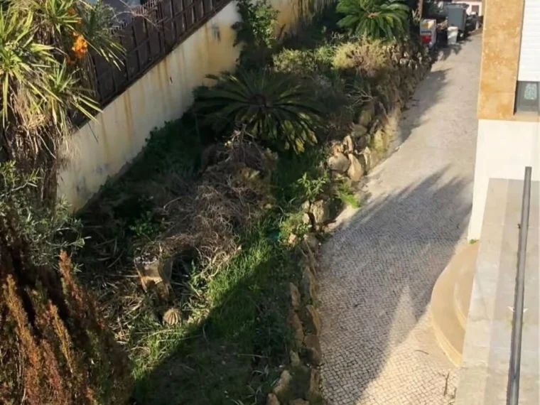 Antes — terreno antes da intervenção