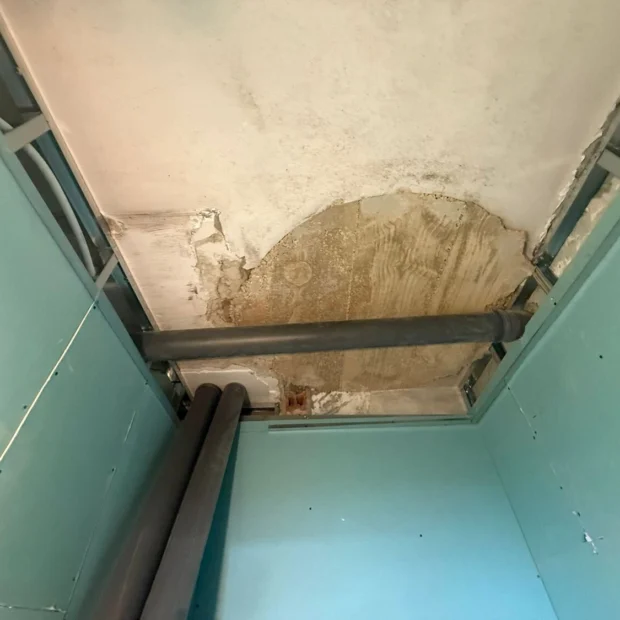 Suspended ceiling: metal frame and moisture-resistant board