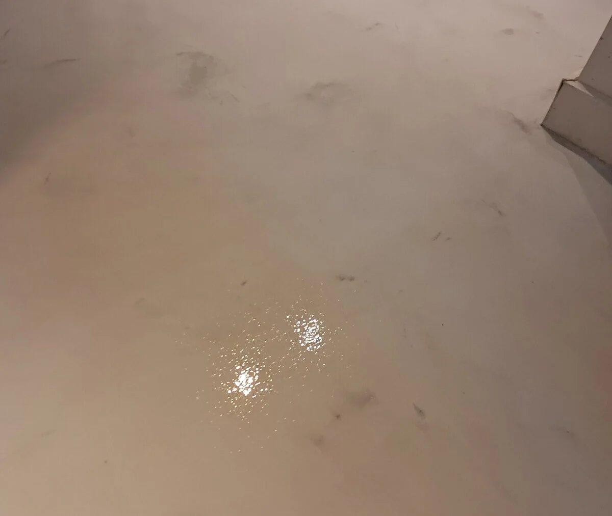 Polished microcement floor, large area